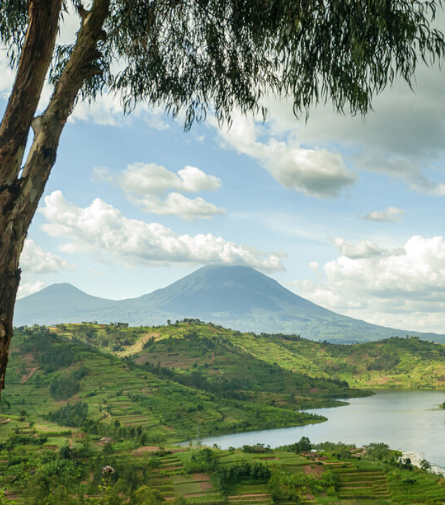 Jean Baptiste Mugarura | Youth for Christ | Rwanda
Lifting Women & Children, Multiplying Churches & Disciples
