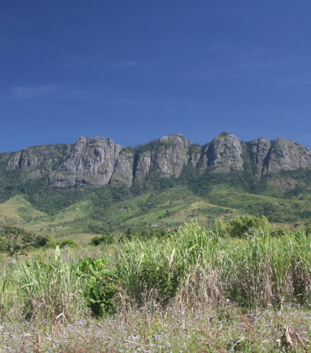 Villages in Partnership | Malawi
Transforming Communities, Relieving Suffering, Lifting Women & Children
